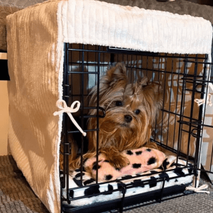 Pokrowiec na kennel
